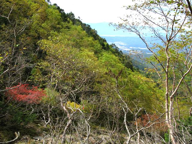 01.JPG