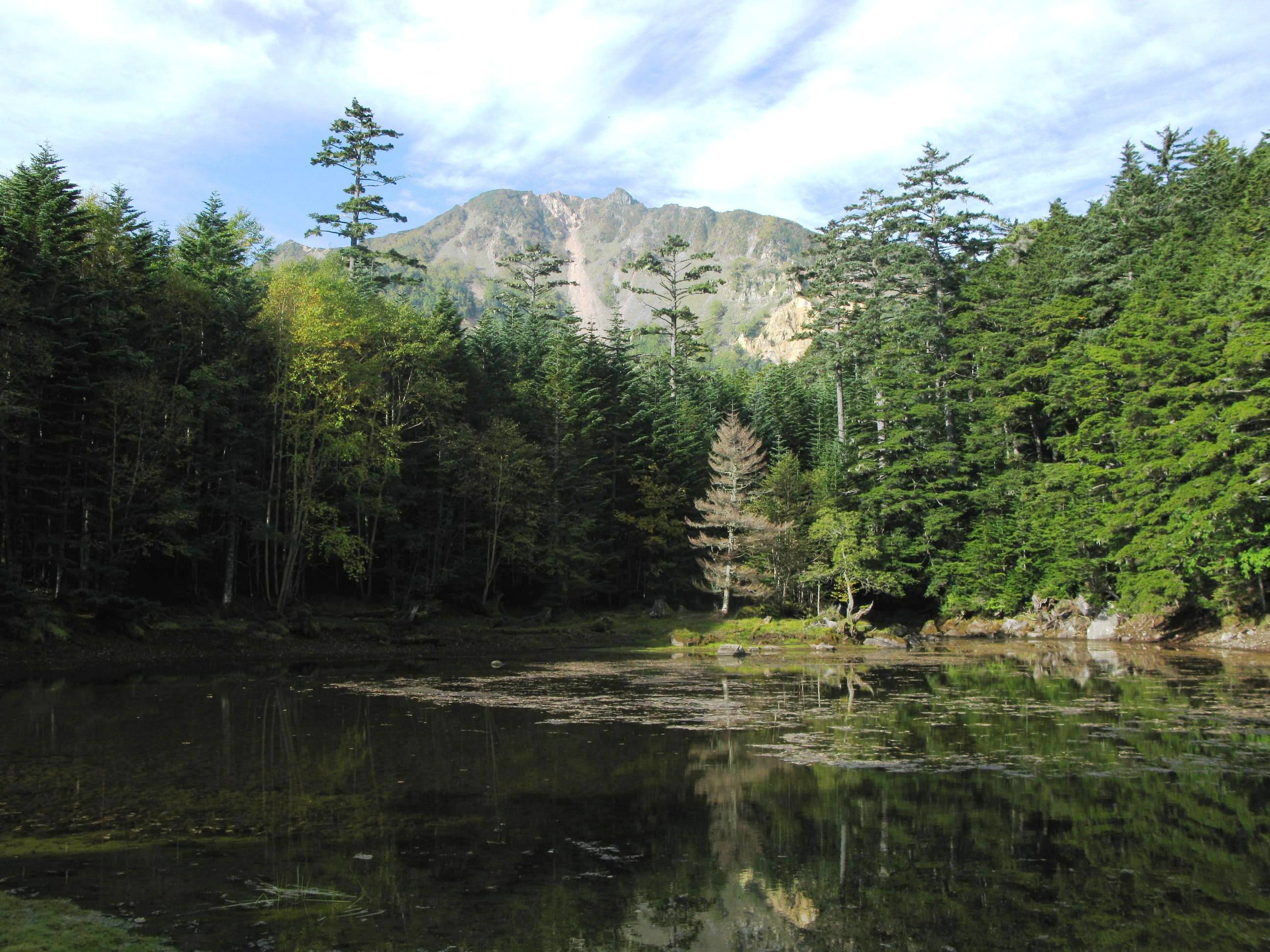 05.JPG