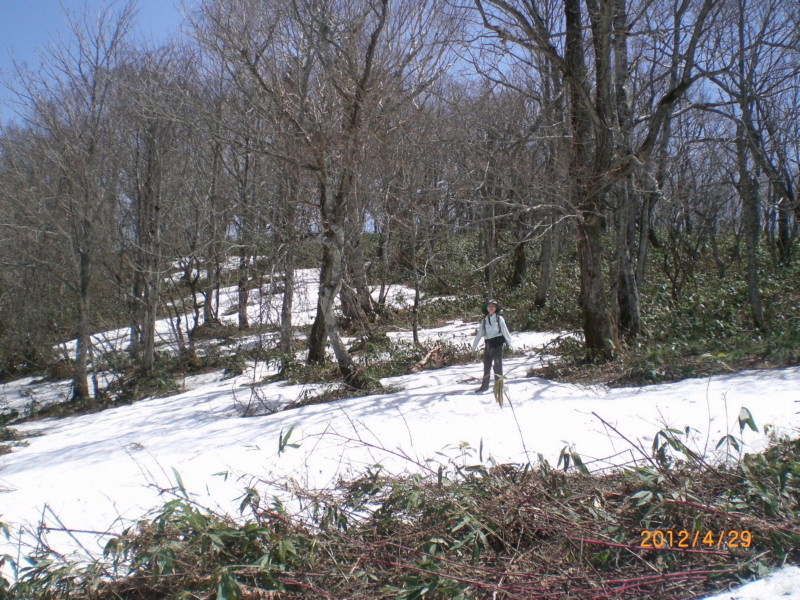04.JPG