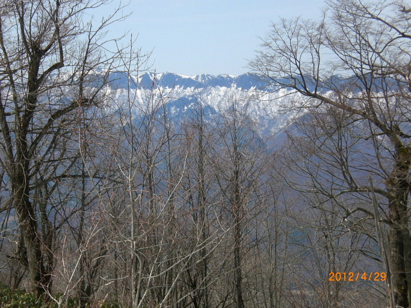 05.JPG