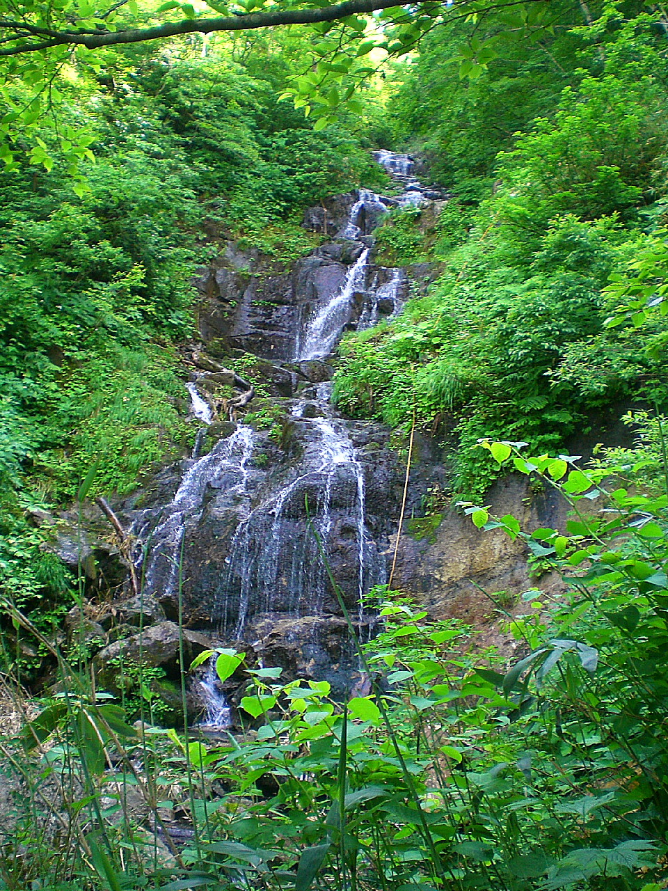 05.JPG