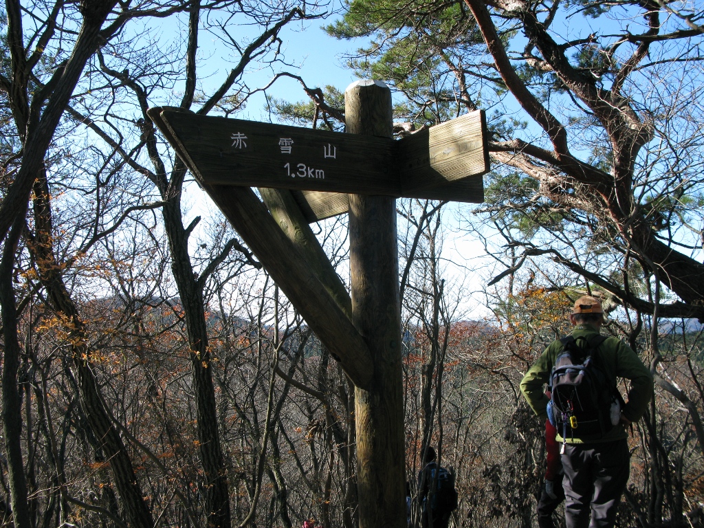 01.JPG