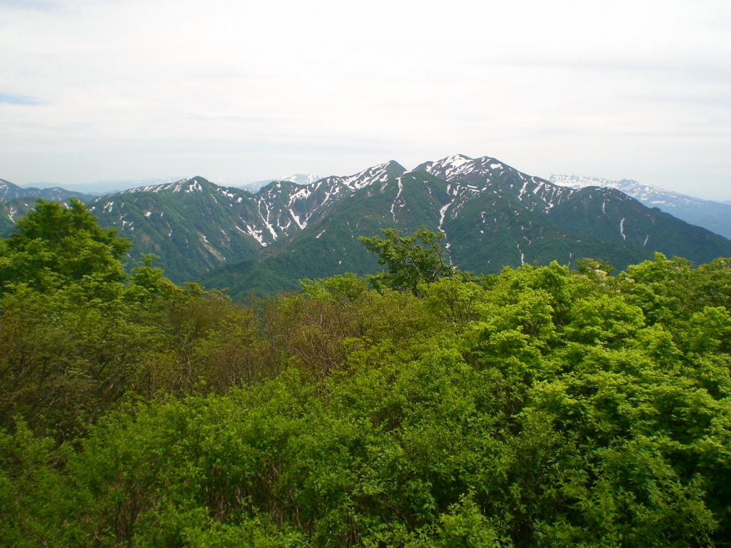 03.JPG