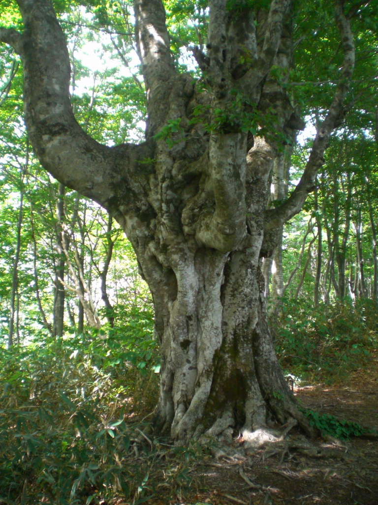 04.JPG