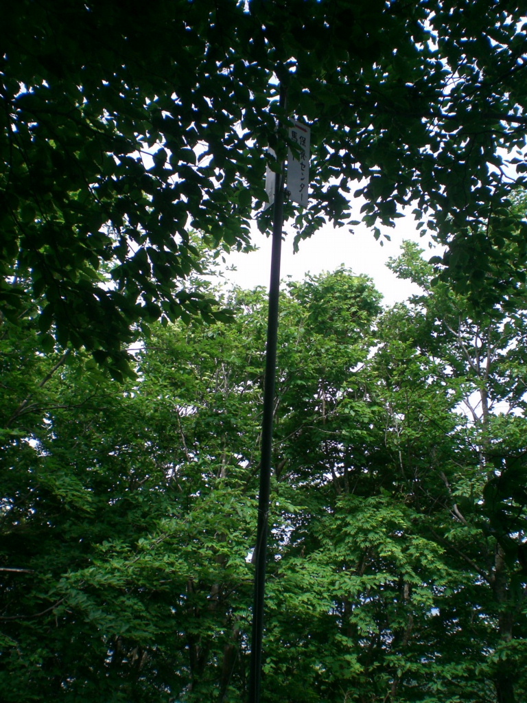 05.JPG