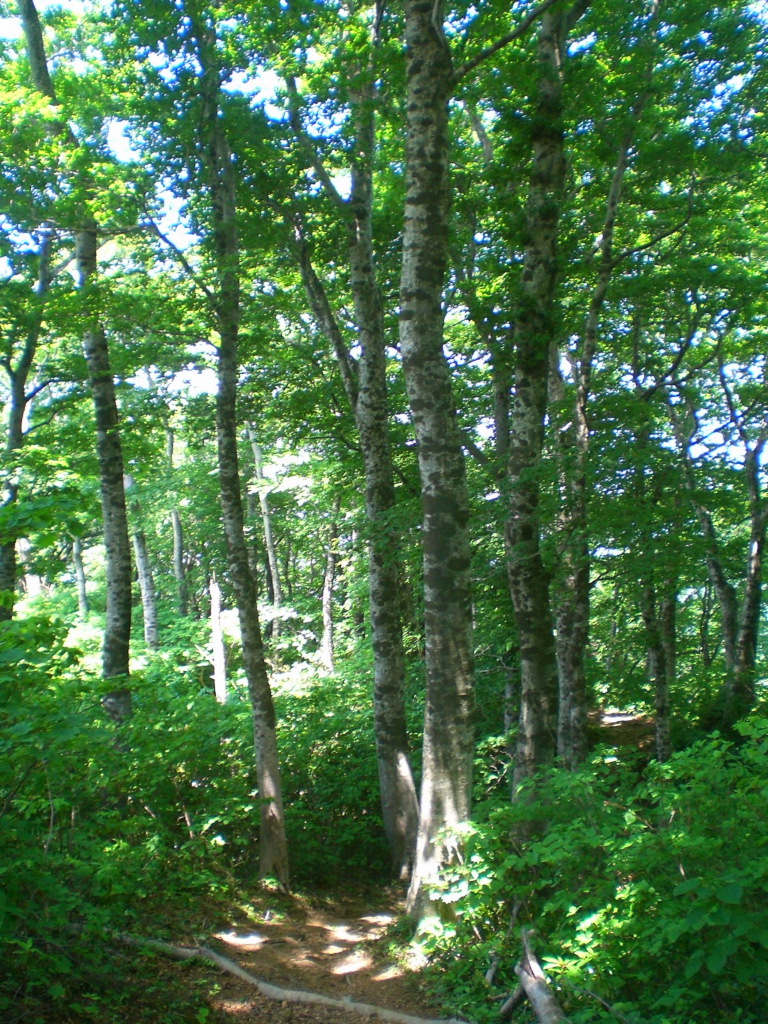 08.JPG