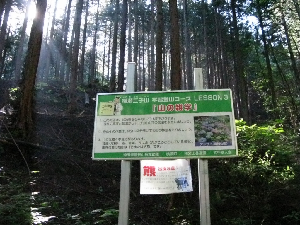 02.JPG