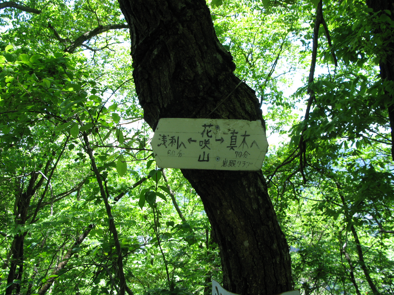 05.JPG