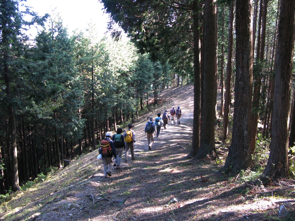 03.JPG