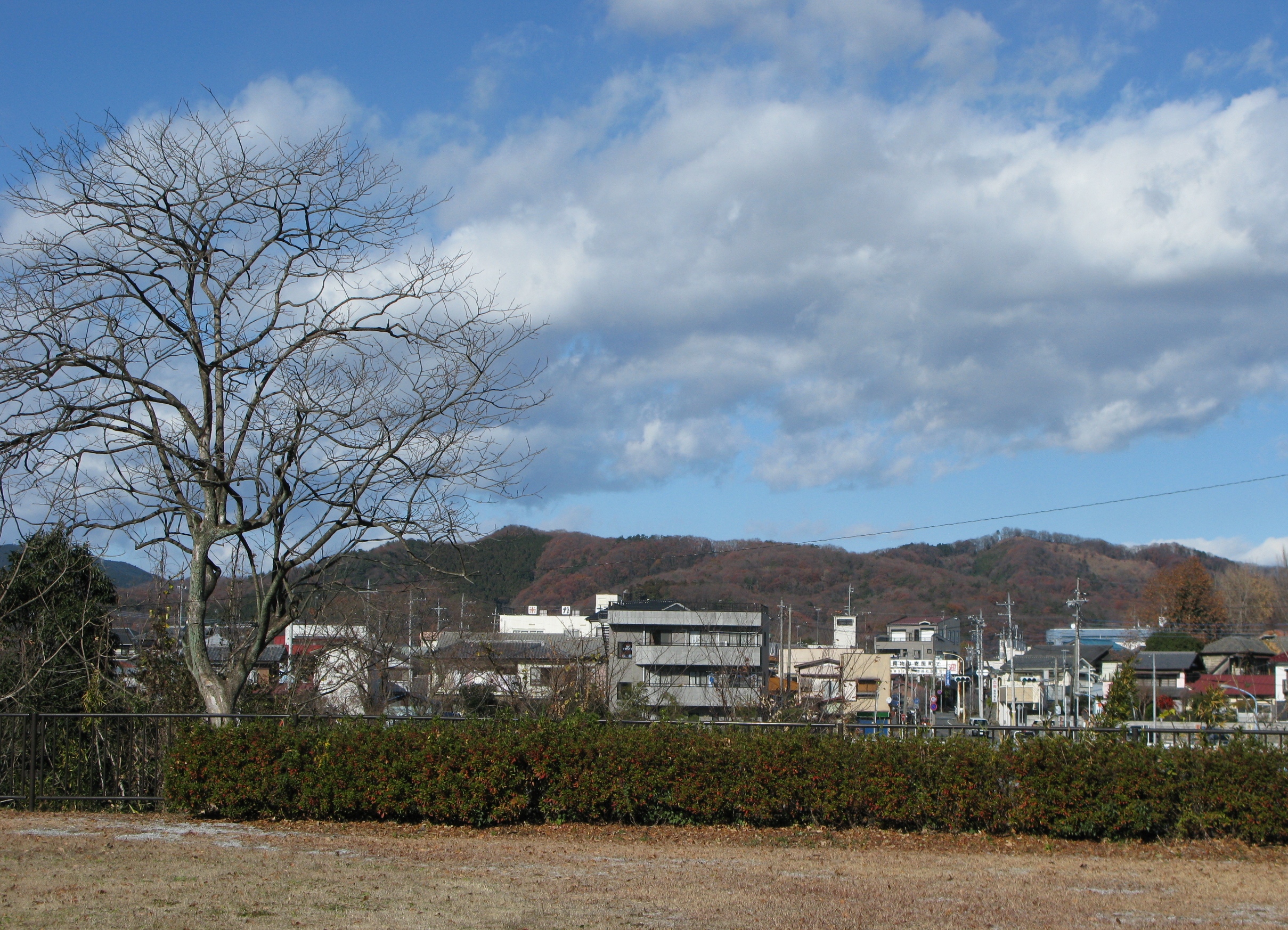 01.JPG