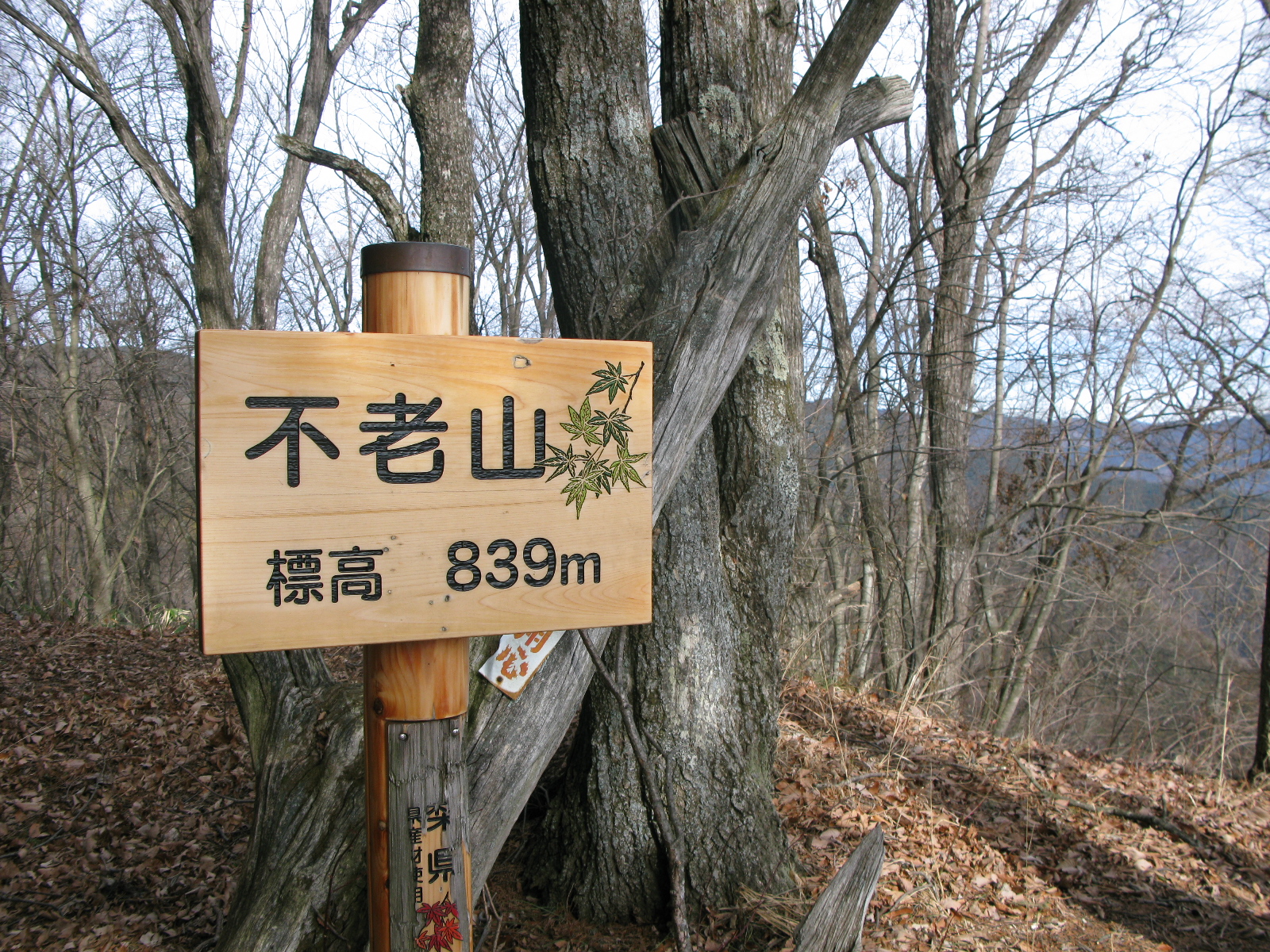 03.JPG