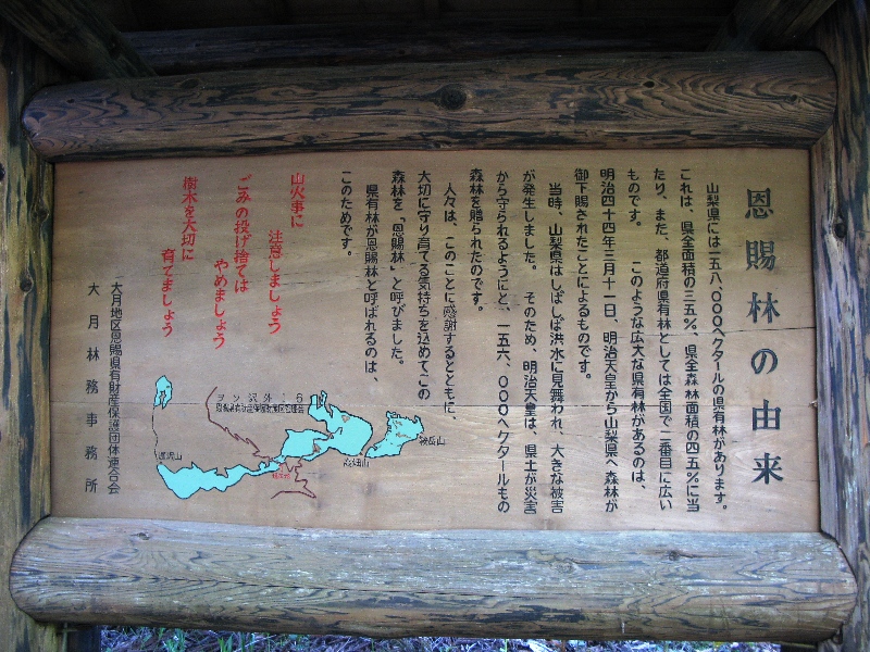 06.JPG