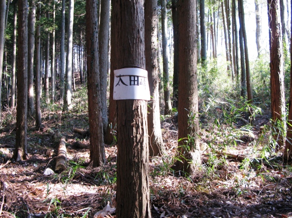 03.JPG
