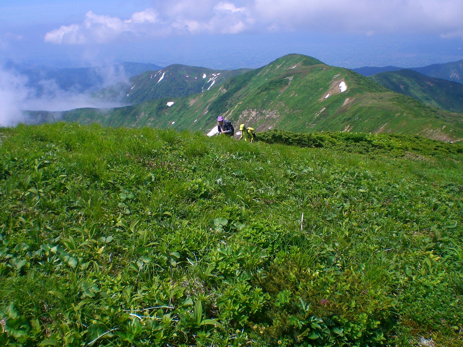 04.JPG
