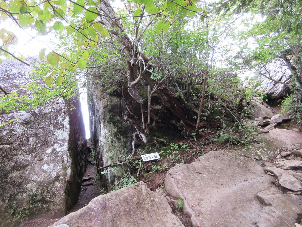 05.JPG