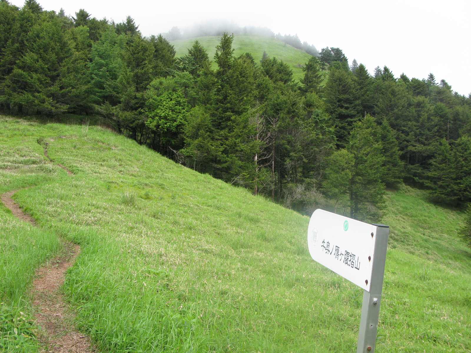 04.JPG