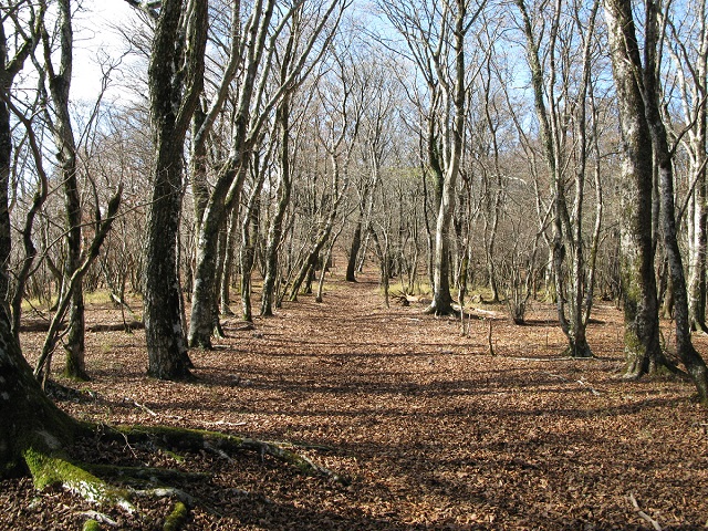 02.JPG
