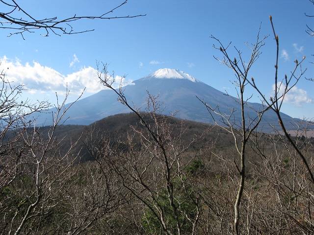 03.JPG