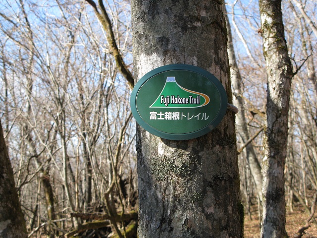 04.JPG