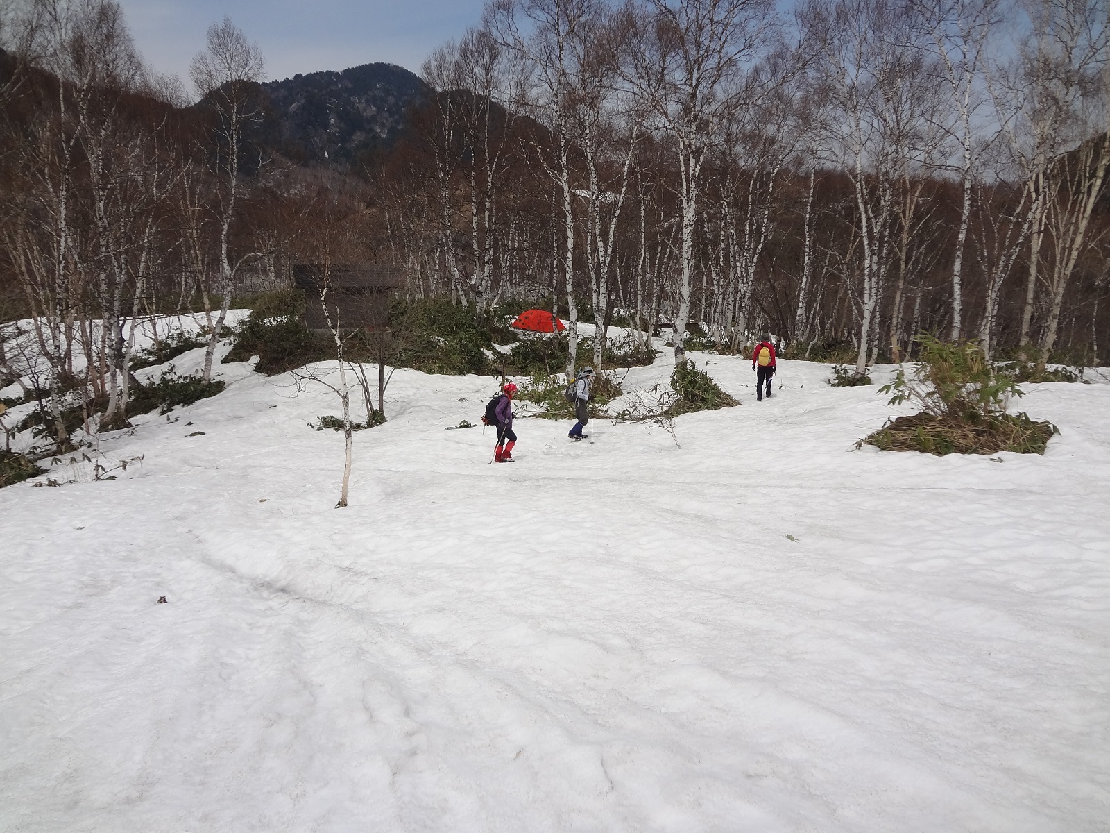 04.JPG