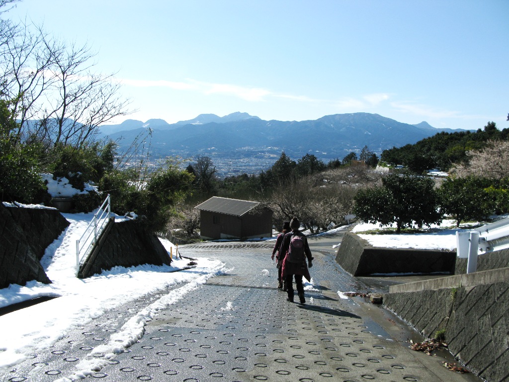 04.JPG