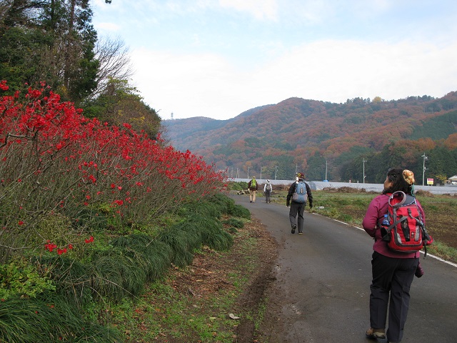 01.JPG