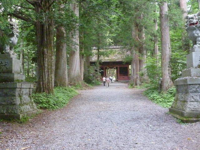 01.JPG