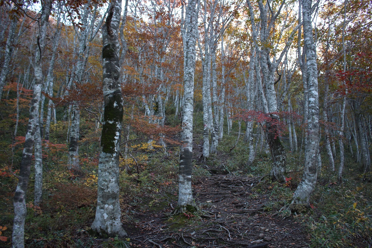 04.JPG