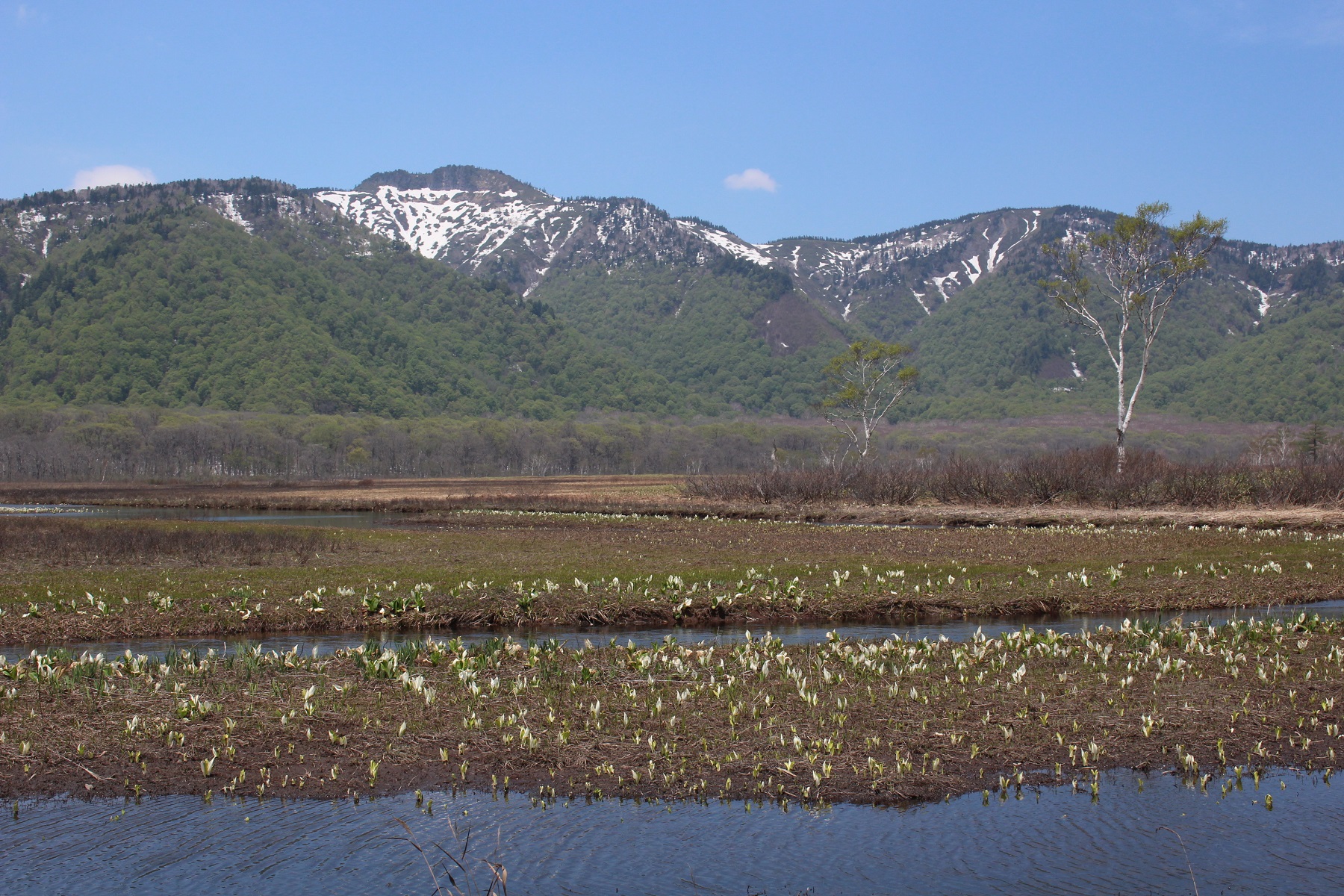 07.JPG