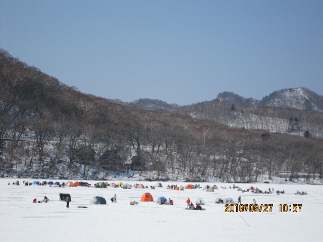01.JPG