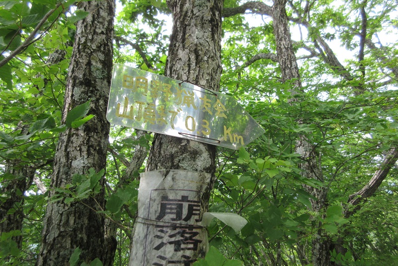 04.JPG