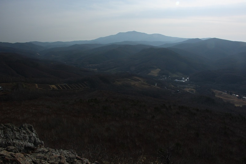 05.JPG