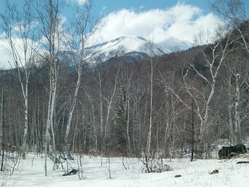 02.JPG