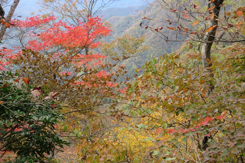 04.JPG