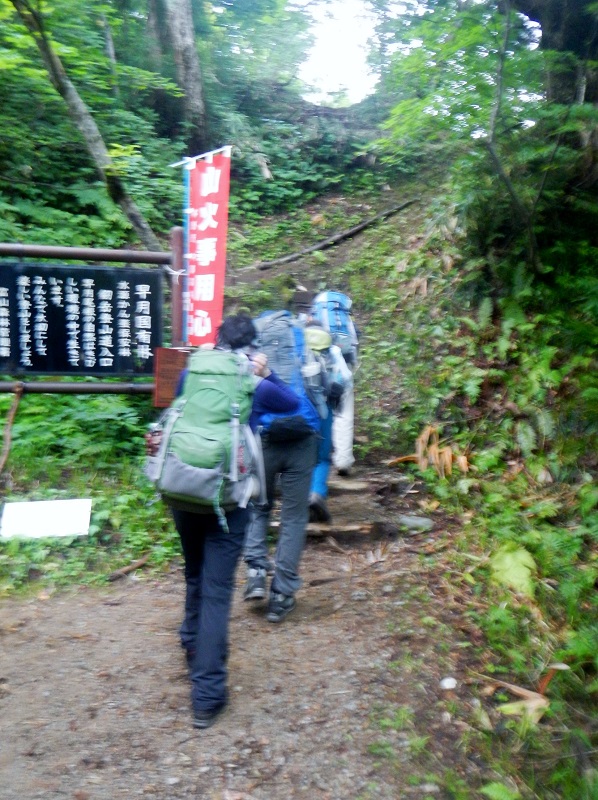 01.JPG