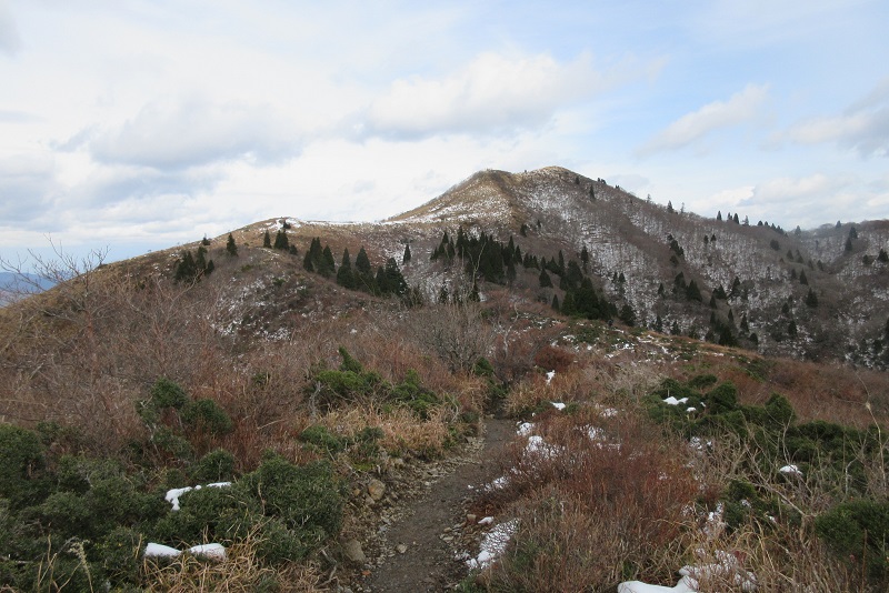 01.JPG