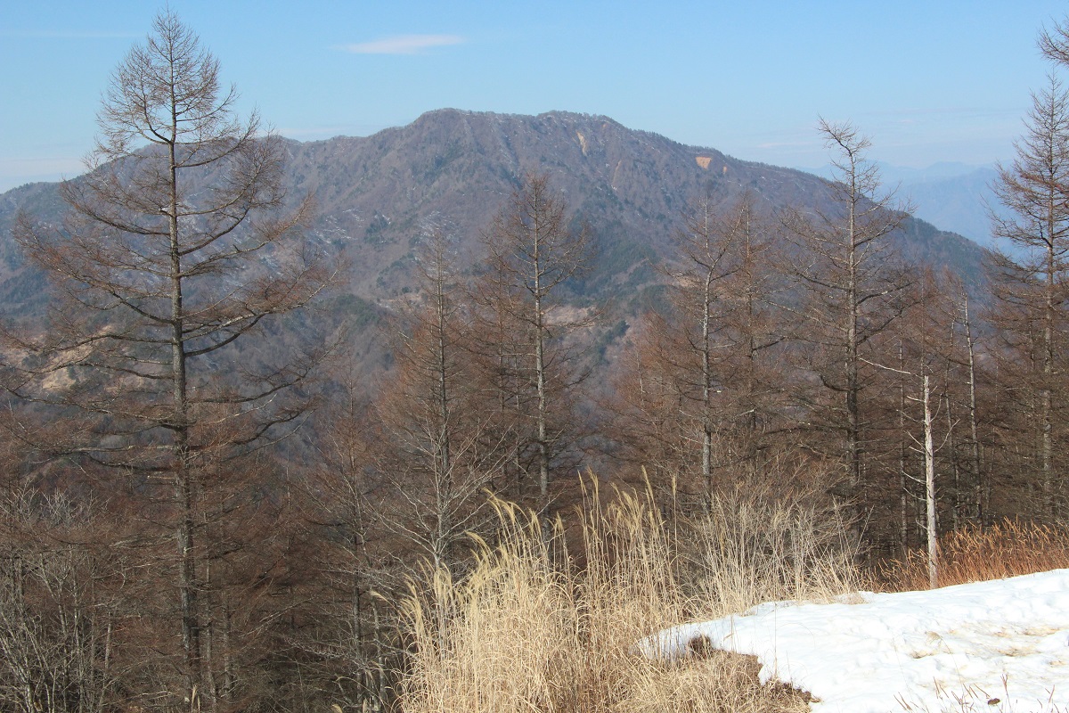 05.JPG