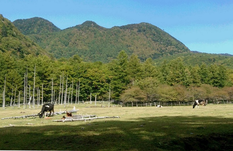 01.JPG