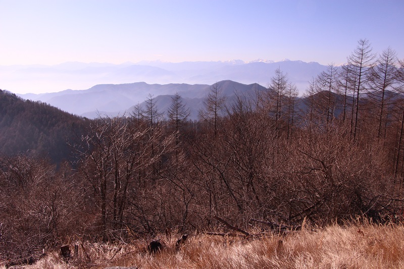 05.JPG