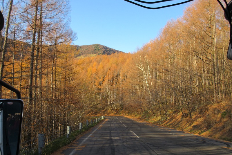 06.JPG