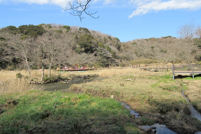 05.JPG