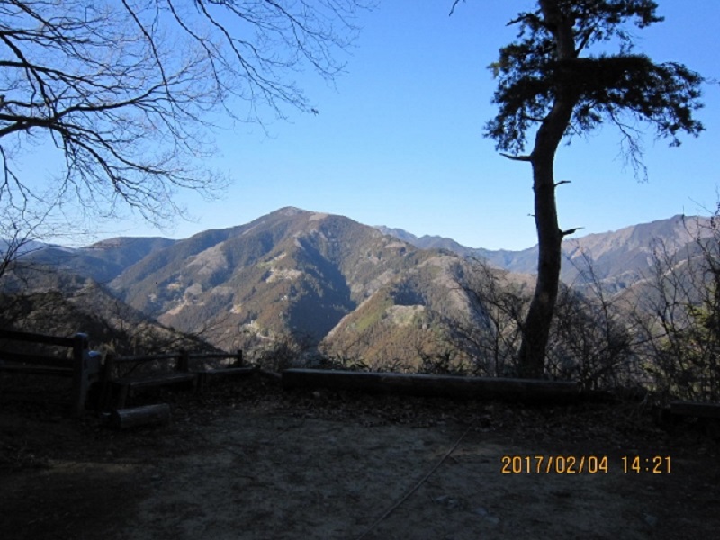 05.JPG