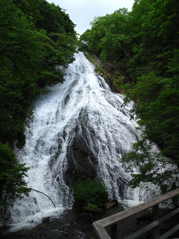04.JPG