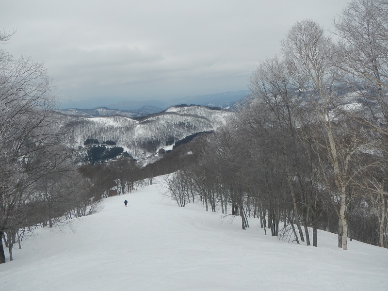 05.JPG
