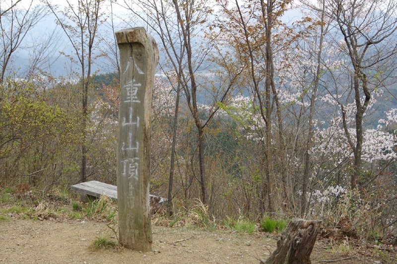 05.JPG
