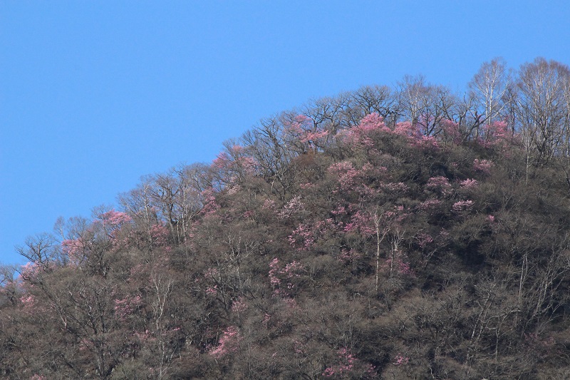 05.JPG