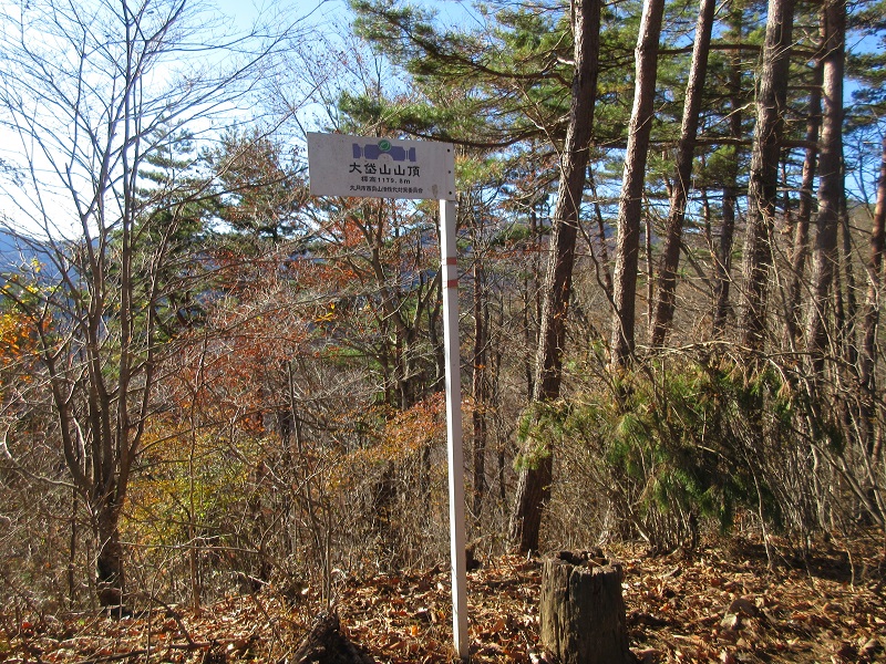 04.JPG