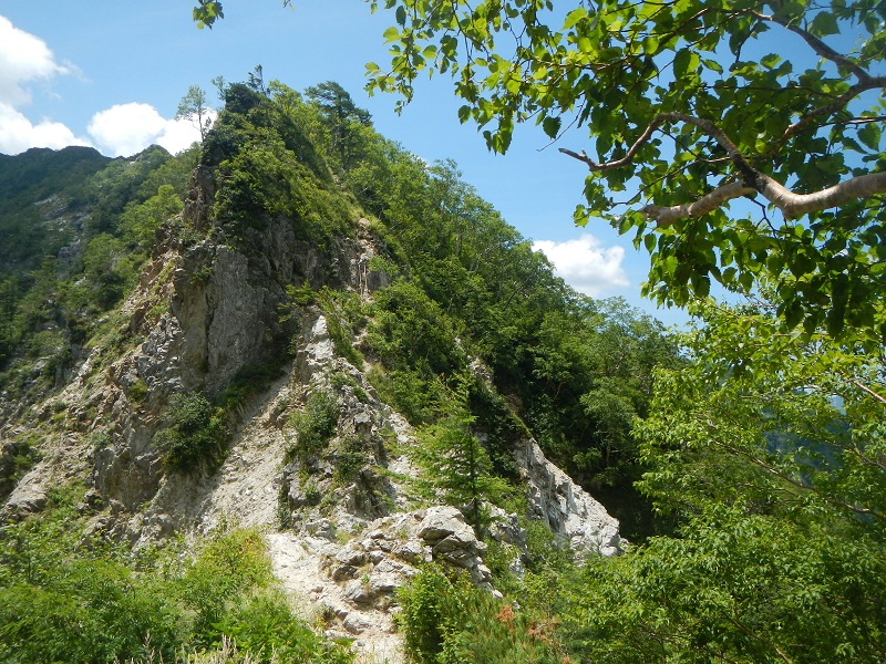 04.JPG