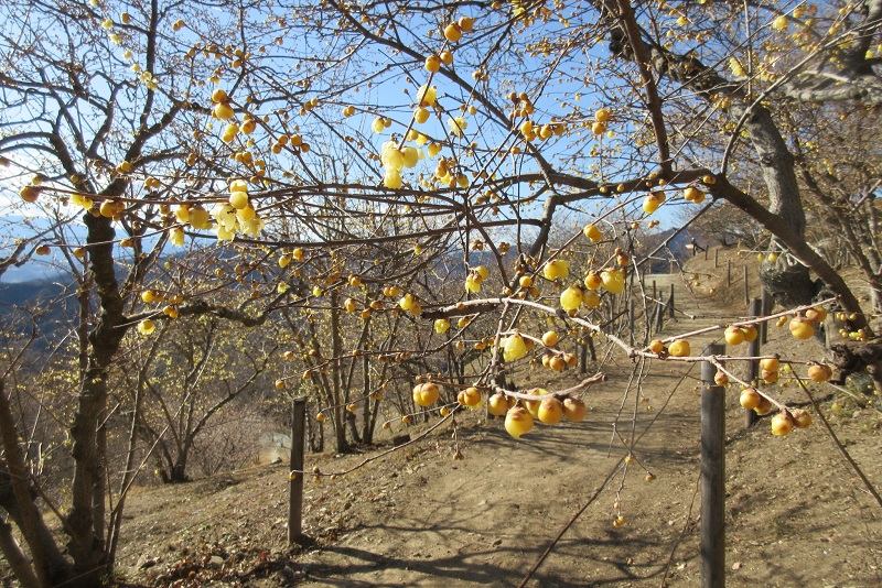 05.JPG