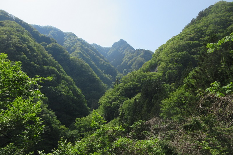 05.JPG
